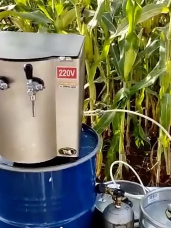 Chopeira elétrica 220V sobre um tambor, com barris ao lado